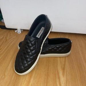 Steve Madden Sneakers